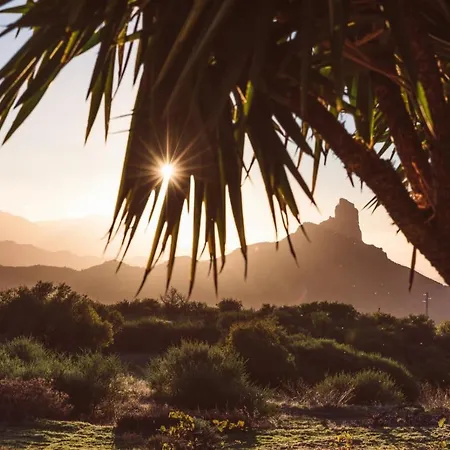 Luxury tent Bubbletent Canarias Finca La Isa Tejeda (Gran Canaria)
